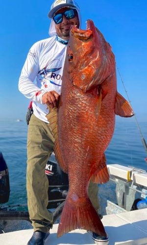 Huge Red Snapper caught in the ocean outside Nuevo Nayarit